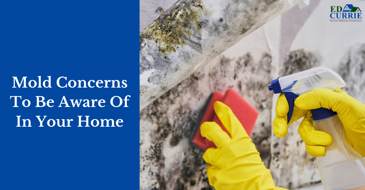 Mold Concerns To Beware Of In Your Home